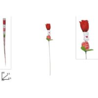 Rosa Cy19-001