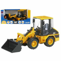 Bruder Cat Movimento Terra