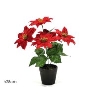Stella Di Natale In Vaso 28cm Rosso