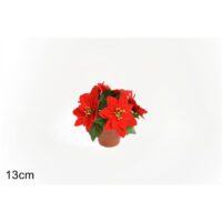 Piantina Stella Di Natale 5 Fiori 13cm