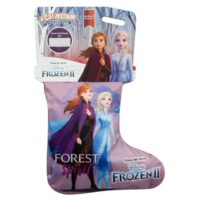 Calzettone Frozen '21