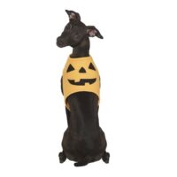 Costume Da Zucca Per Cani Taglia M